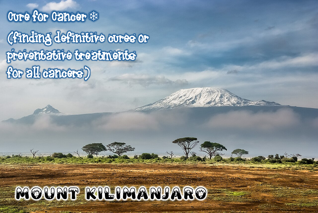 Mount Kilimanjaro — the real mountain
